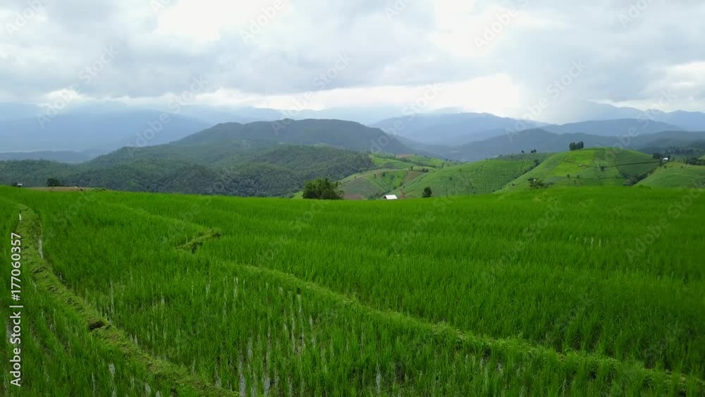 Aerial view from a drone while flying over the terraced rice field in Pa Pong Pieng, Chiangmai, Thailand
Aerial view from a drone while flying over the terraced rice field in Pa Pong Pieng, Chiangmai, Thailand