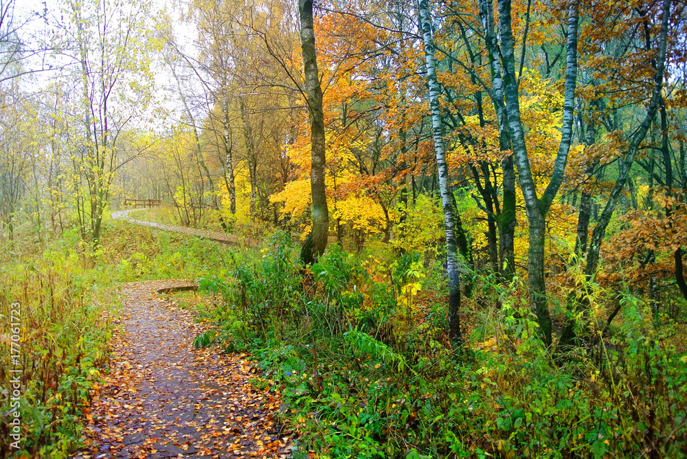 Park in Moscow during the fall of leaves. Bright colors of nature. Autumn 2017