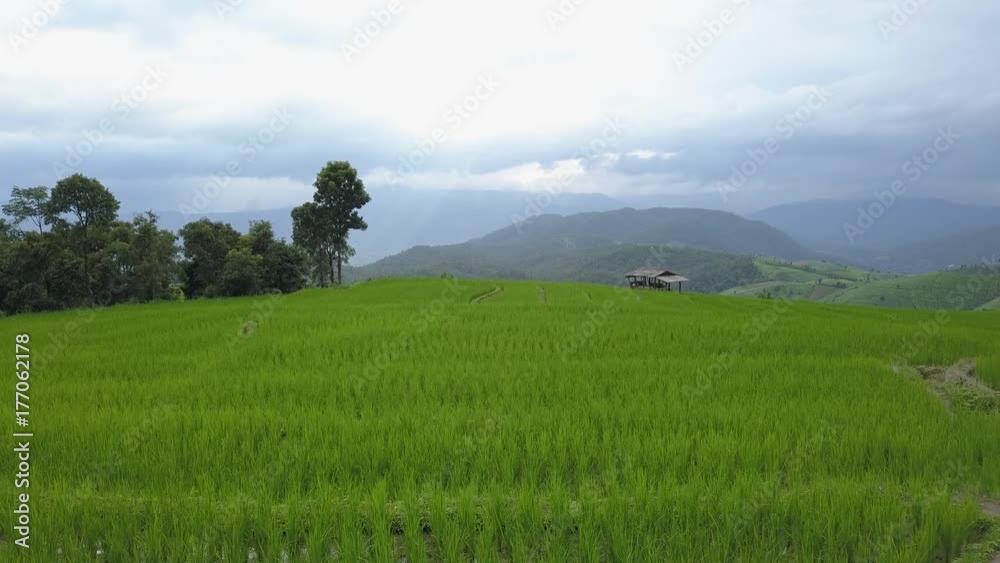 Aerial view from a drone while flying over the terraced rice field in Pa Pong Pieng, Chiangmai, Thailand
Aerial view from a drone while flying over the terraced rice field in Pa Pong Pieng, Chiangmai, Thailand