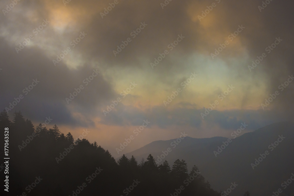 Smoky Mountain sunrise rays through tree shadow silhouettes in the misty mountaintop fog above the clouds