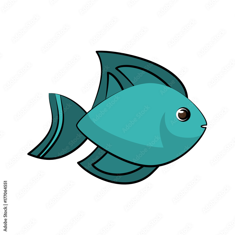 Fototapeta premium blue fish sideview icon image vector illustration design 
