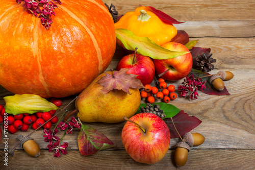 Thanksgiving or harvest background with pumpkin, apples, squash