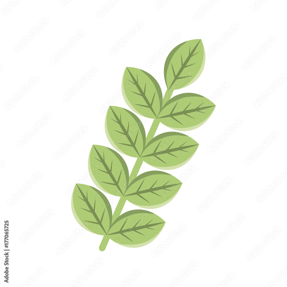 stem with leaves icon stem with leaves icon
