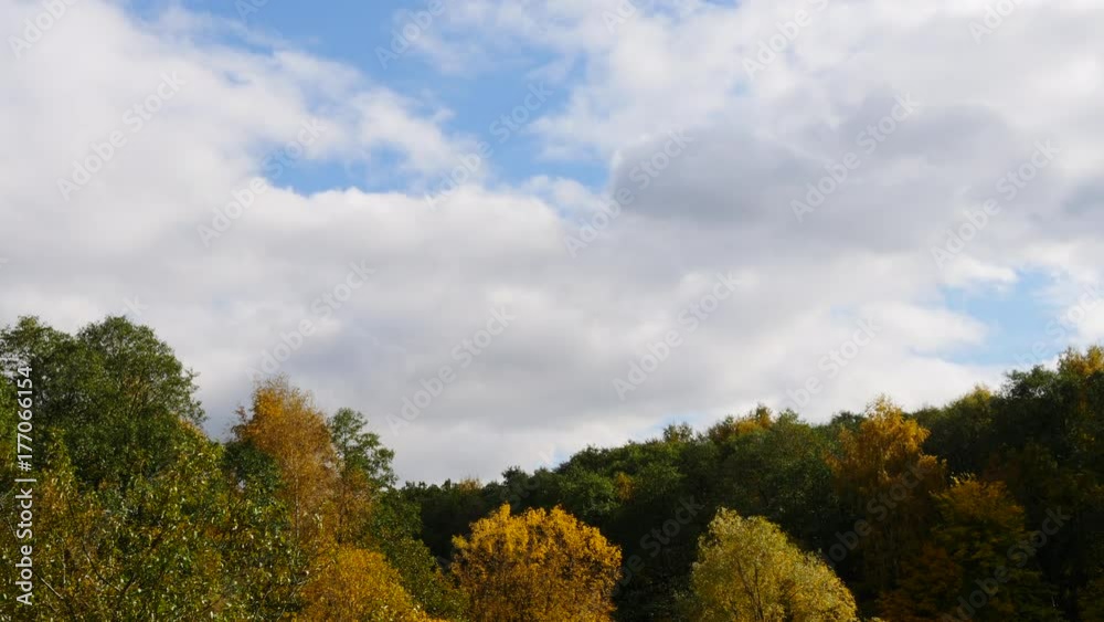 White Fluffy White Clouds Run Through The Sky Over Autumn Color Forest White Fluffy White Clouds Run Through The Sky Over Autumn Color Forest