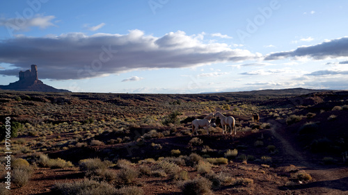 Wildcat Trail in Monument Valley, an early morning hike