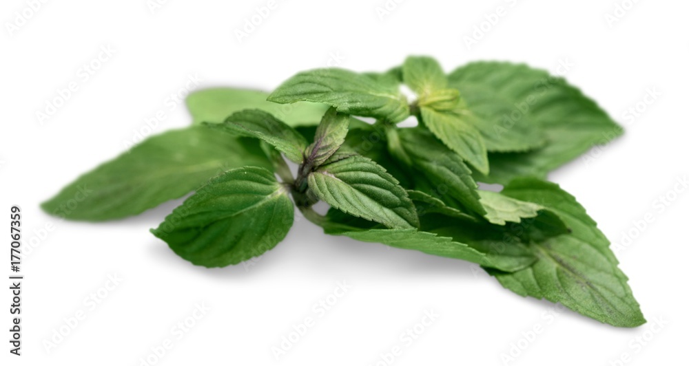 Herb.