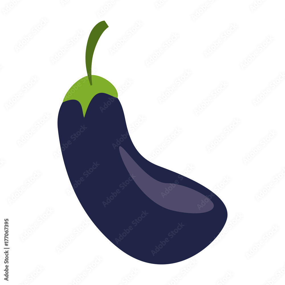 eggplant vegetable icon image vector illustration design eggplant vegetable icon image vector illustration design