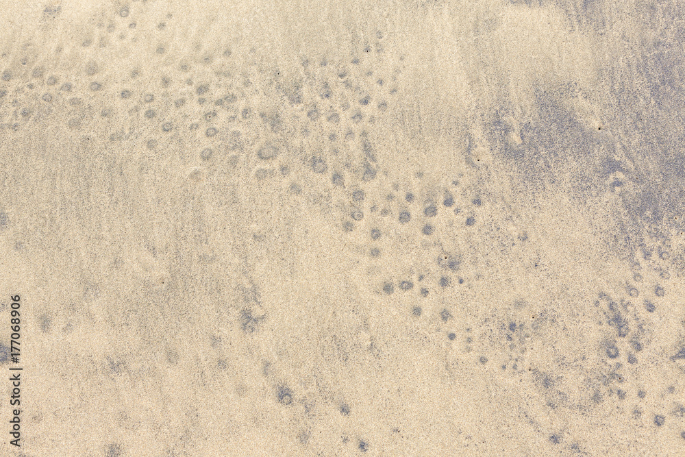 Wet sand patterns at beach
