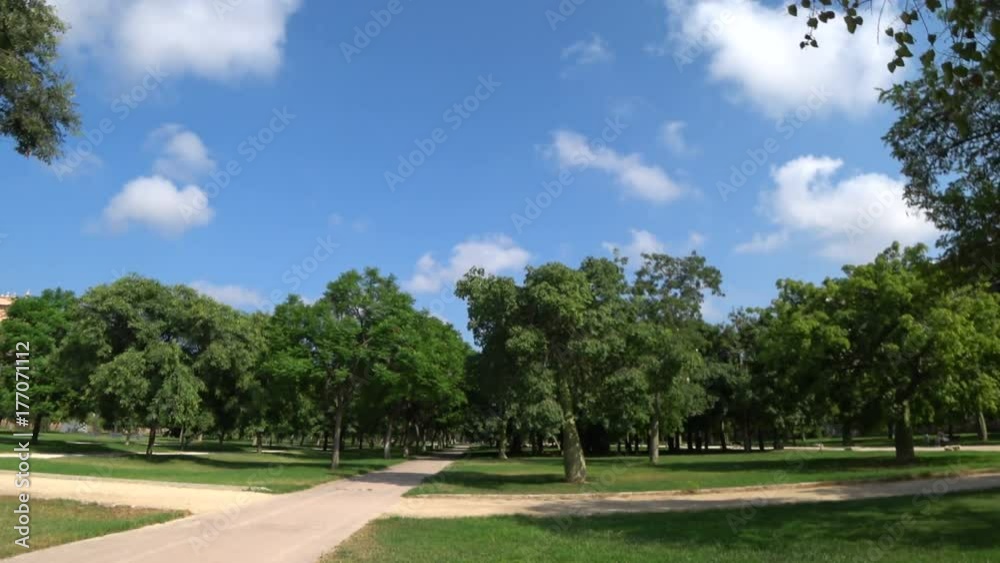 Summer park with beautiful green lawn and trees in Valencia Spain Summer park with beautiful green lawn and trees in Valencia Spain