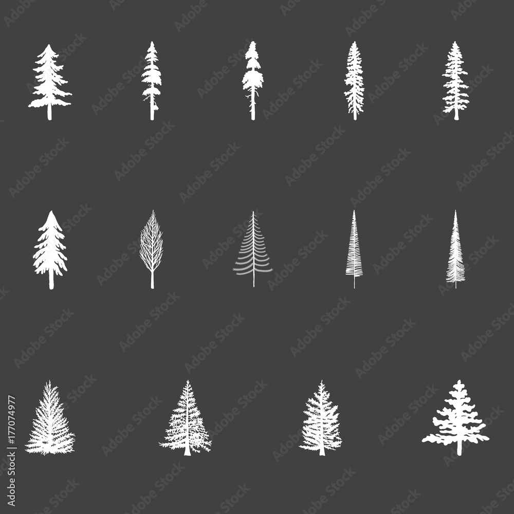 Obraz premium Christmas Trees
