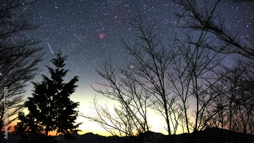 樹間に沈む冬の星座の微速度撮影