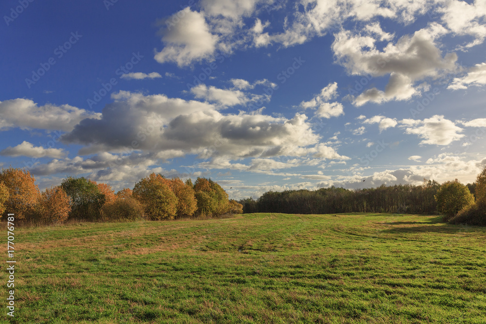 Fototapeta premium Colorful autumn landscape with a field. Evening. The sky with heavy white clouds. Picture, Wallpapers, calendar.