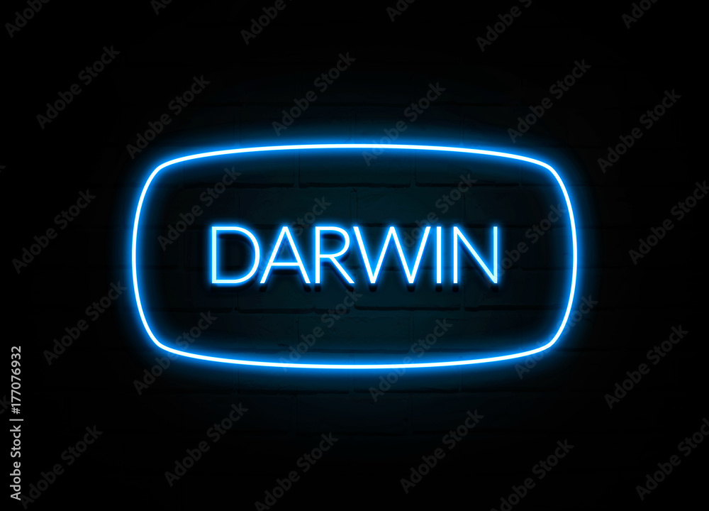 Darwin  - colorful Neon Sign on brickwall