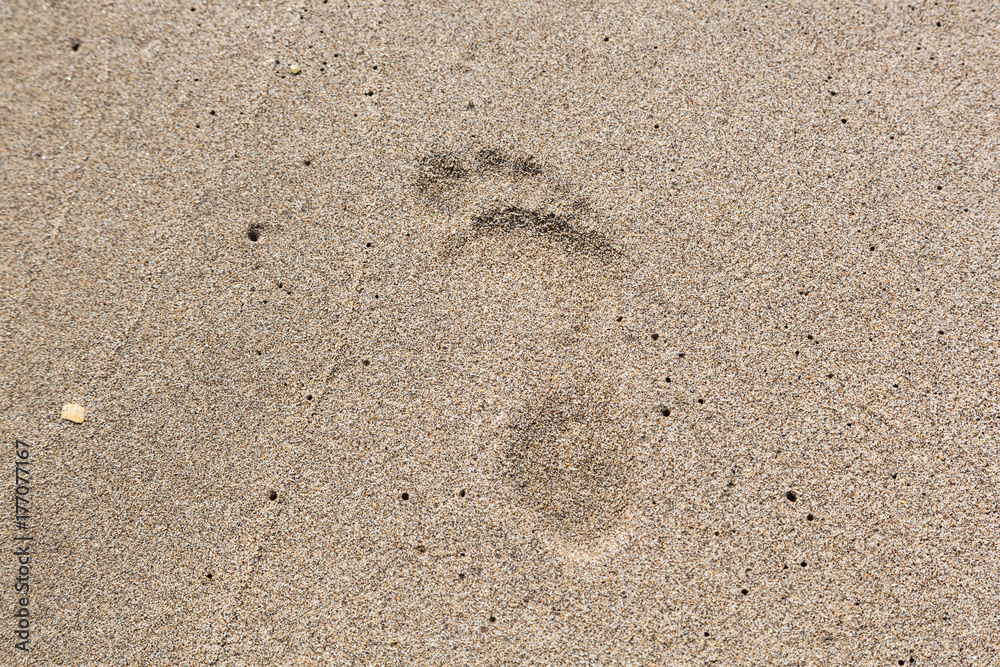 foot print at the beach foot print at the beach