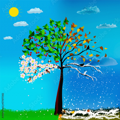 Four seasons tree