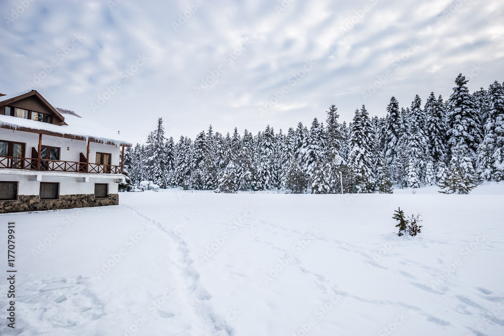Winter landscape view with pine forest at a cloudy dull day.A rest house on the foreground