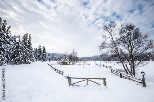 Winter landscape view with pine forest at a cloudy dull day.A small barbecue house on the background