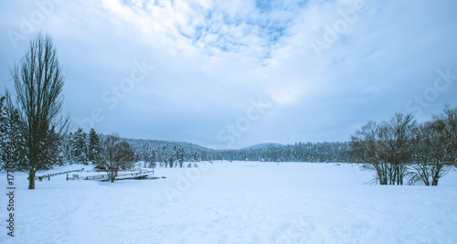 View of Winter frozen lake with pine forest at a cloudy dull day © epic_images