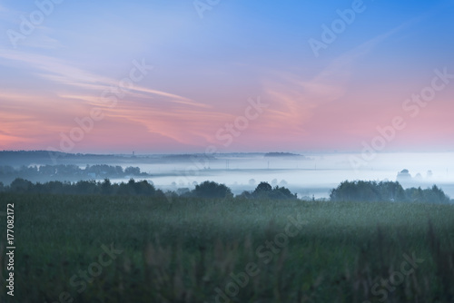 panorama early morning mist over the meadow of green grass . earthen leads to burn out in the middle of the fog. a light morning mist . © Mak