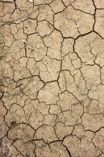 Dry crack earth at rice field
