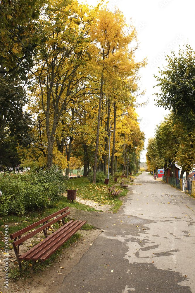 Naklejka premium Different views of autumn scenery