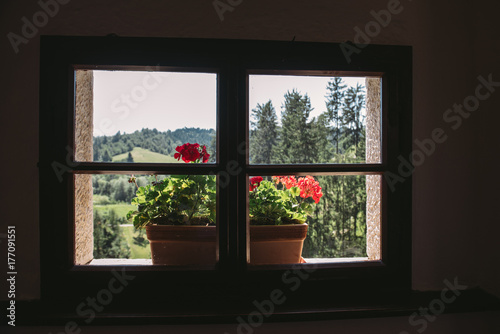 Window 