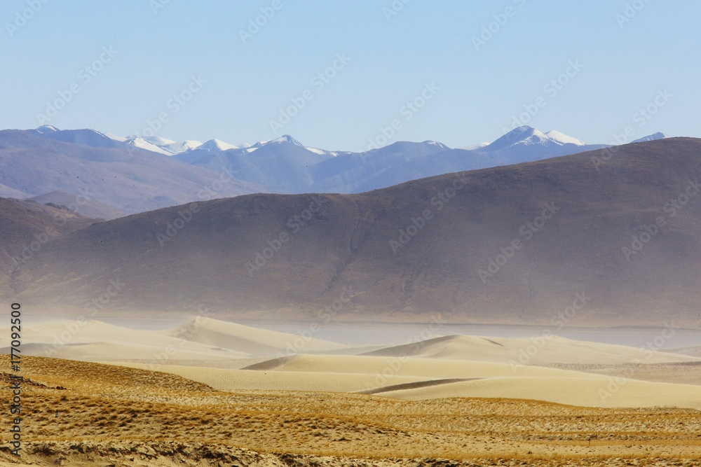 desert landscape of nature