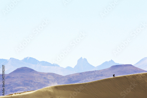 desert landscape of nature