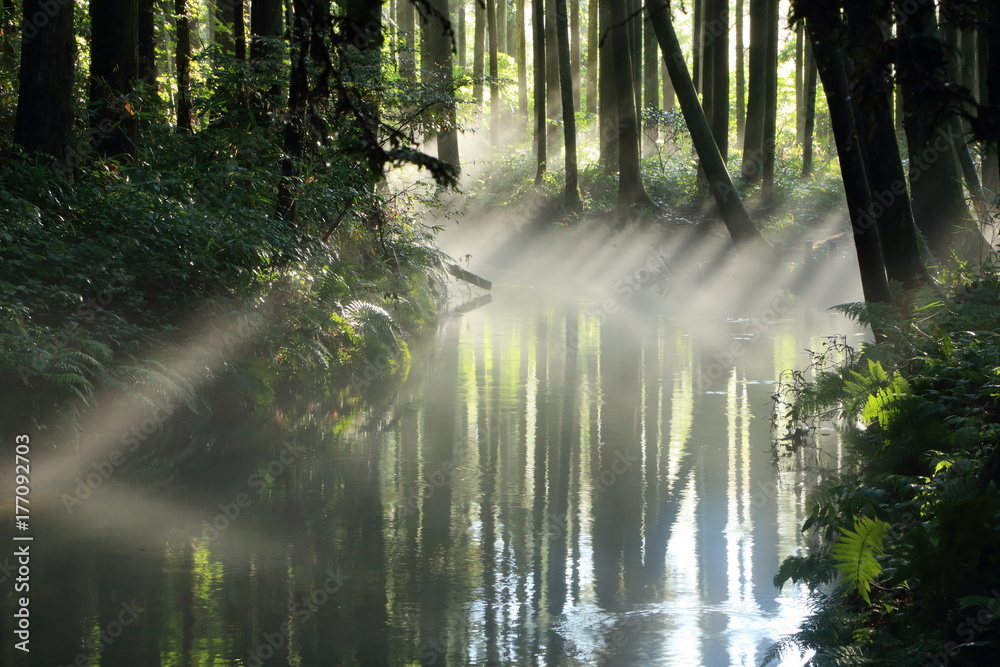 朝の牛渡川と川霧 Yuza Yamagata Japan Stock Photo Adobe Stock