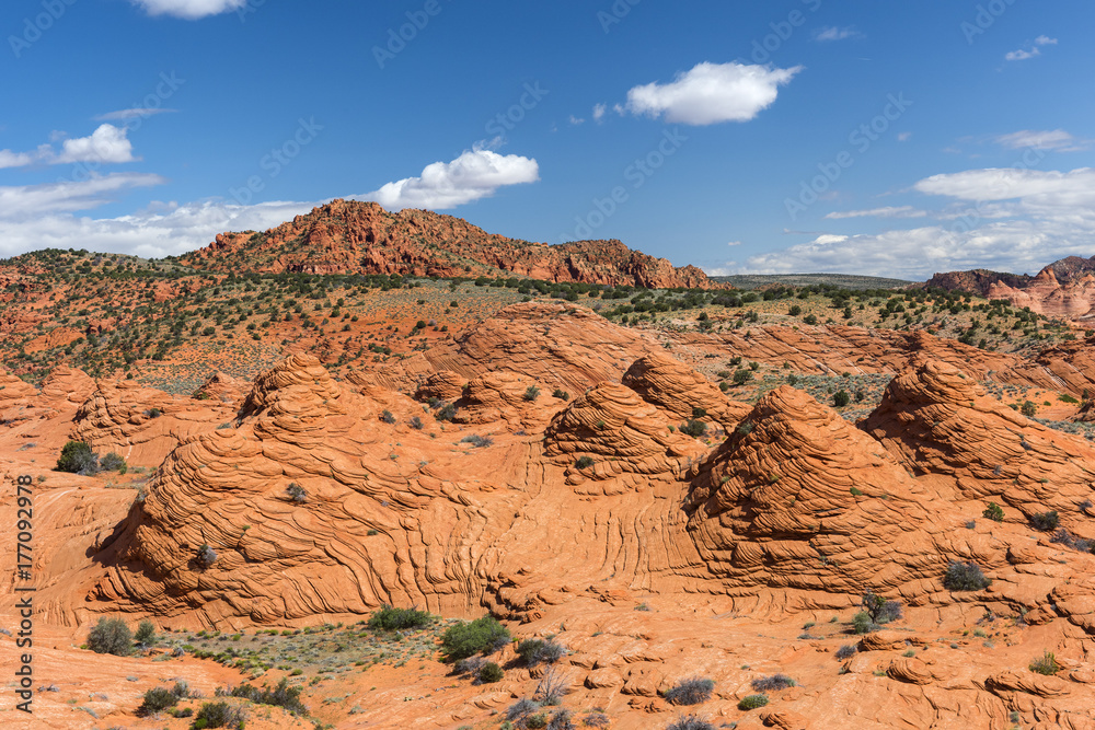 Coyote Buttes