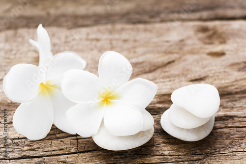 Beautiful plumeria or temple spa flower with white zen stones on rustic wood background