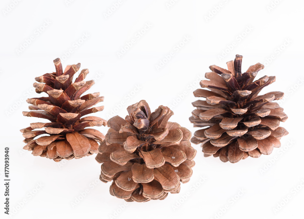 Pine cones isolated on white background,Christmas ornament Pine cones isolated on white background,Christmas ornament