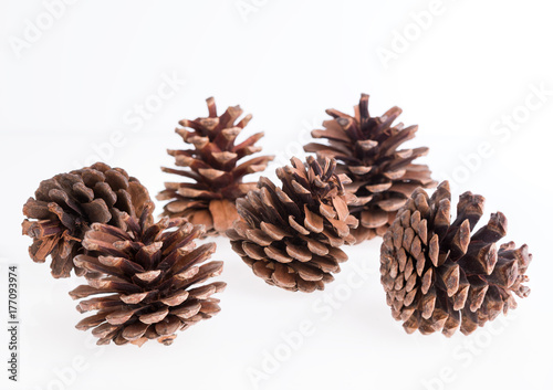 Pine cones isolated on white background,Christmas ornament