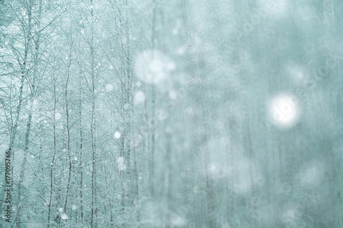 Winter forest blurred background snow landscape