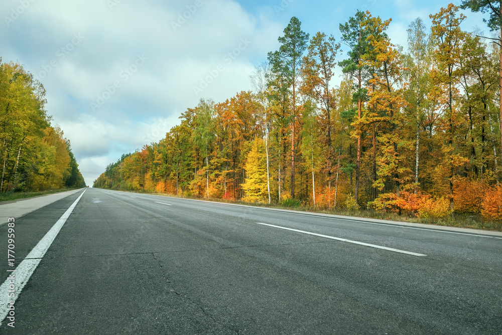 a deserted asphalt road among the autumn bright forest. Beautiful autumn landscape.
a deserted asphalt road among the autumn bright forest. Beautiful autumn landscape.