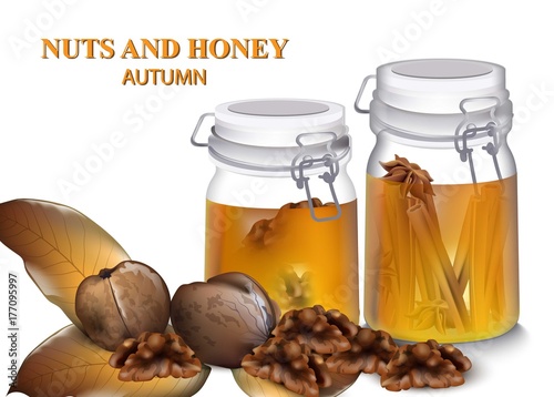 Honey and Greek nuts Vector realistic. Autumn flavors details