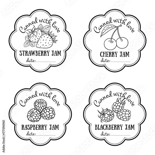Labels with hand drawn fruits and berries set of vector. Strawberry, cherry, blackberry, raspberry.