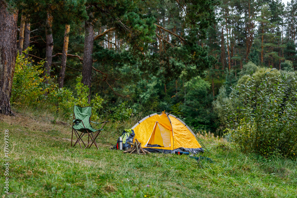 camping with tent in forest