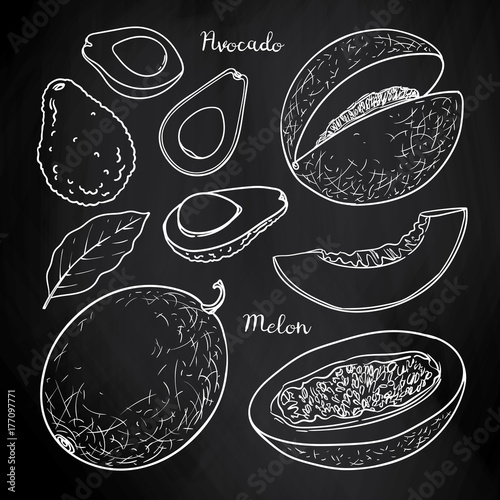 Summer fruits set whole and slices: avocado, melon. Vector sketch on blackboard.