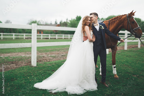 Newly married wedding couple stand with beautiful horse on nature