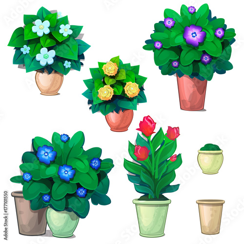 Set of decorative plants in pots and red tulips. Vector Illustration flowers in cartoon style isolated on white background