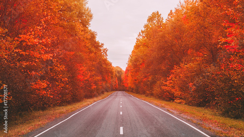 autumn road 