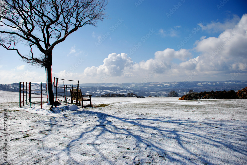Tree with bench and snowy landscape 