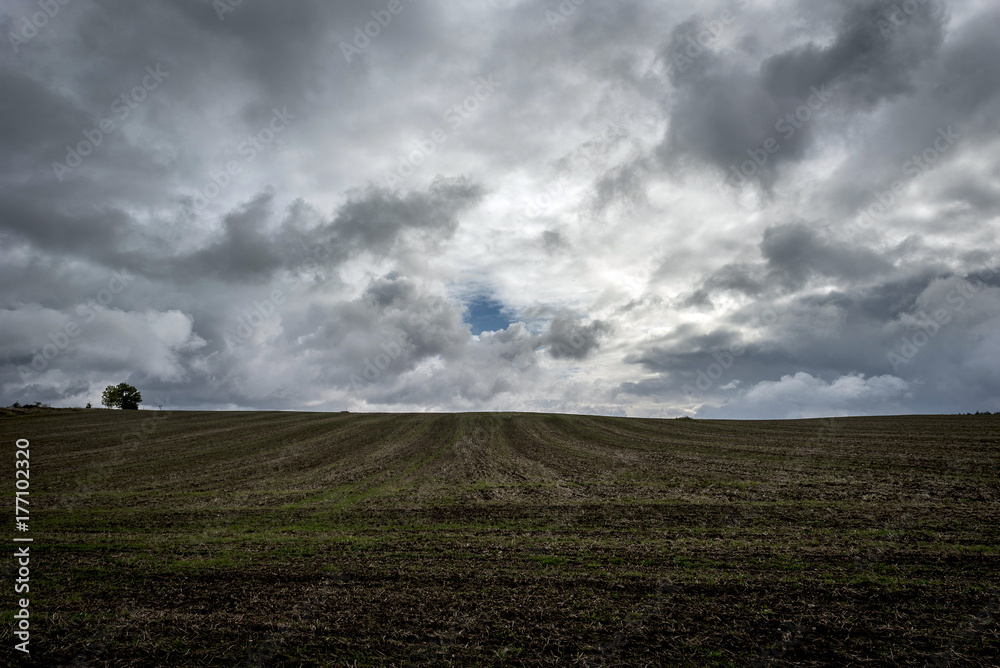 a browned field with a tree on the horizon under dark clouds