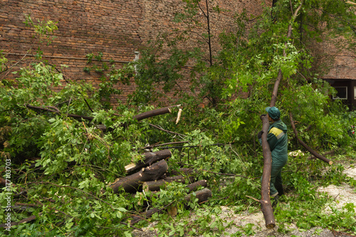 Foto worker disassembles the effects of a hurricane