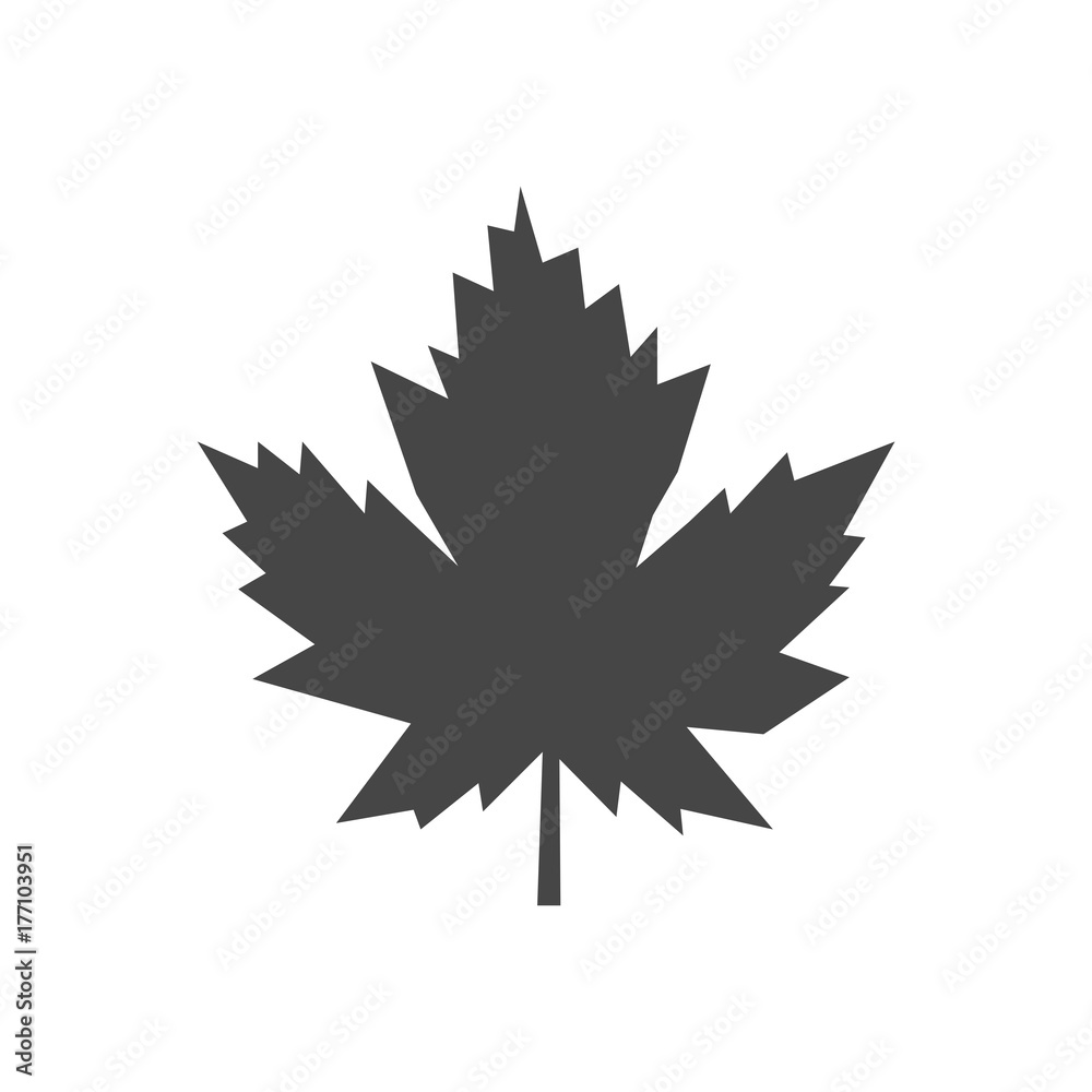 Vector Maple Leaf Icon Vector Maple Leaf Icon