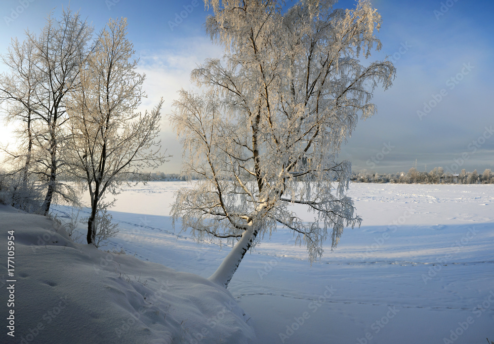 Frosty winter day Frosty winter day