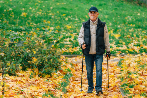 Senior man  with nordic walking poles in colorful autumn park. Healthy life concept. Old sportsman doing exercise outdoors.