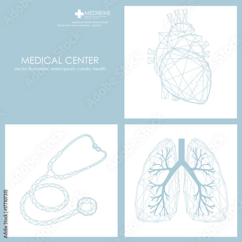 Human heart and lungs icon. Phonendoscope. Vector illustration.