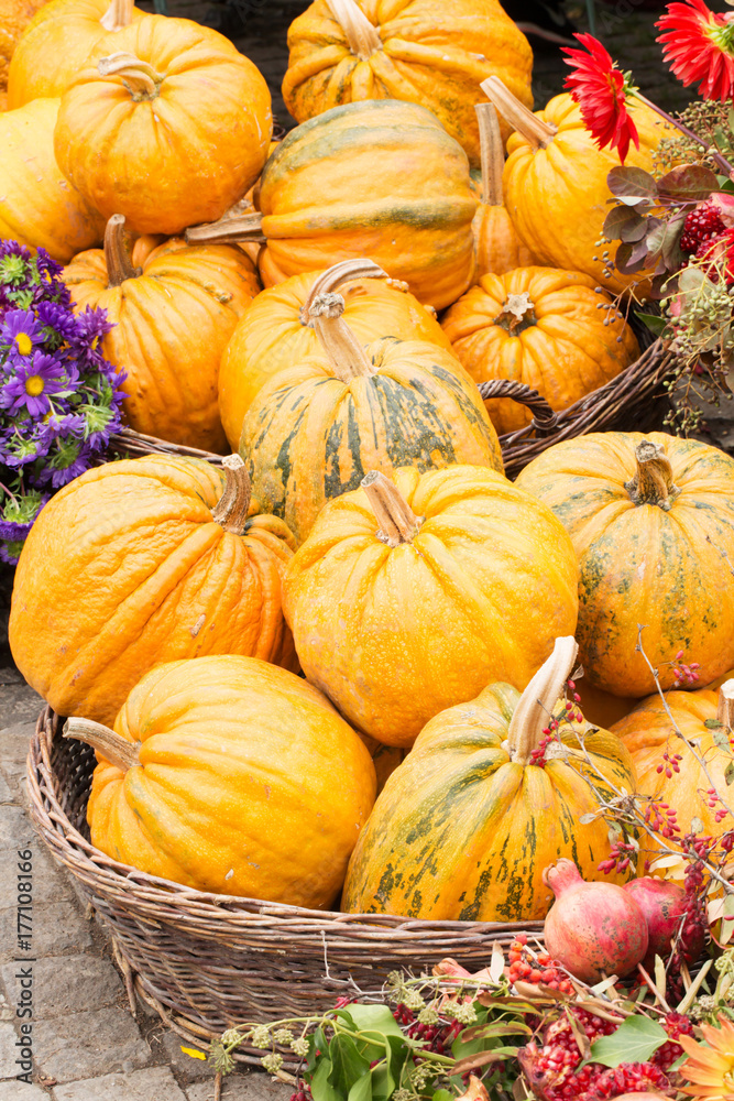 Large pumpkins, pattern, autumn, harvest, orange, soft selective focus, vertical
